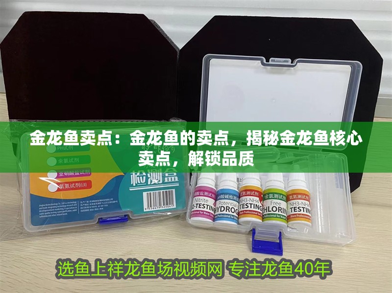 金龍魚賣點：金龍魚的賣點，揭秘金龍魚核心賣點，解鎖品質
