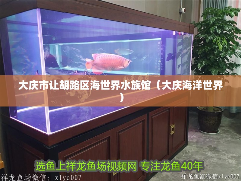 大慶市讓胡路區海世界水族館(大慶海洋世界) 全國水族館企業名錄 第2張 大慶市讓胡路區海世界水族館(大慶海洋世界) 大慶市讓胡路區海世界水族館(大慶海洋世界) 全國水族館企業名錄 第2張