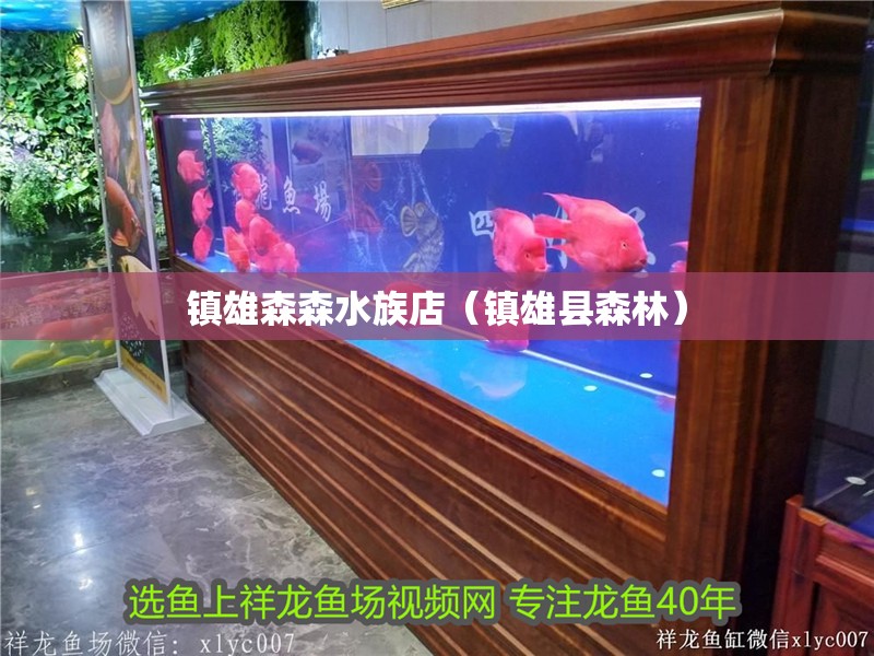 鎮雄森森水族店（鎮雄縣森林）