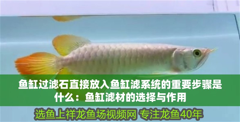 魚缸過濾石直接放入魚缸濾系統(tǒng)的重要步驟是什么：魚缸濾材的選擇與作用