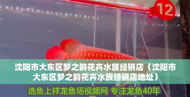 沈陽市大東區夢之韻花卉水族經銷店（沈陽市大東區夢之韻花卉水族經銷店地址）