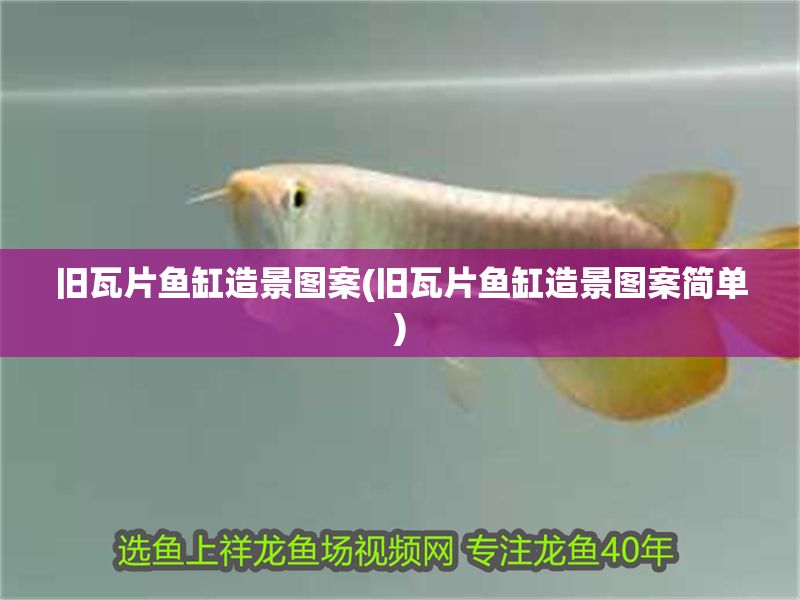 舊瓦片魚缸造景圖案(舊瓦片魚缸造景圖案簡單) 舊瓦片魚缸造景圖案(舊瓦片魚缸造景圖案簡單) 元寶鳳凰魚百科 第1張
