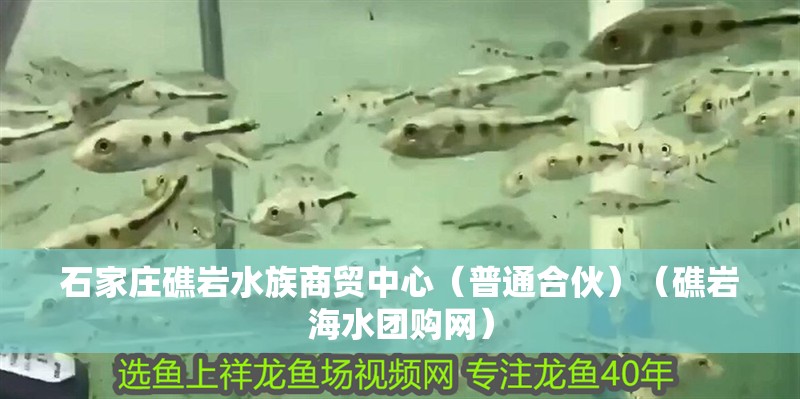 石家莊礁巖水族商貿中心(普通合伙)(礁巖海水團購網) 全國水族館企業名錄 第2張 石家莊礁巖水族商貿中心(普通合伙)(礁巖海水團購網) 石家莊礁巖水族商貿中心(普通合伙)(礁巖海水團購網) 全國水族館企業名錄 第2張
