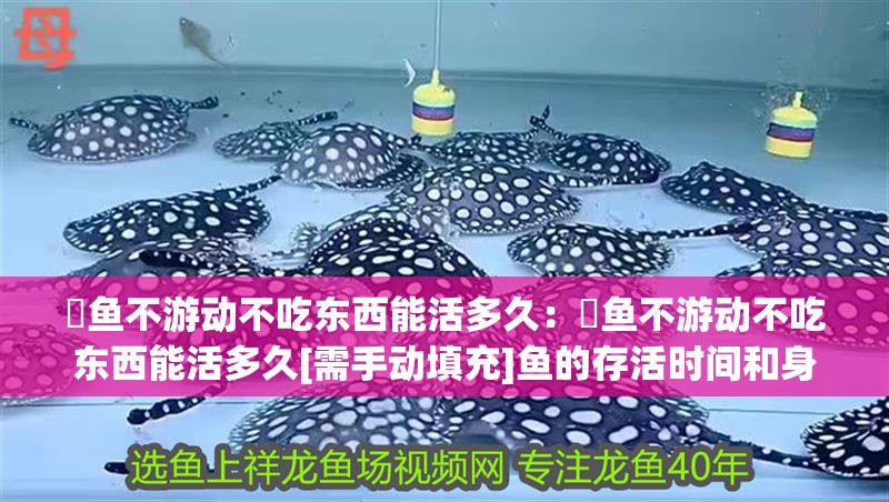魟魚不游動不吃東西能活多久：魟魚不游動不吃東西能活多久[需手動填充]魚的存活時間和身體狀況有關