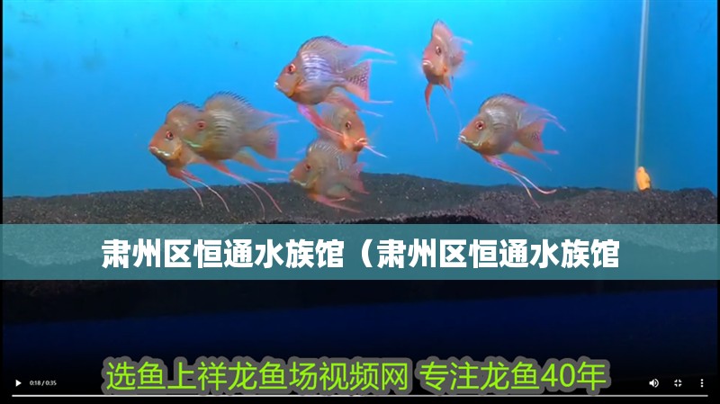 肅州區(qū)恒通水族館（肅州區(qū)恒通水族館