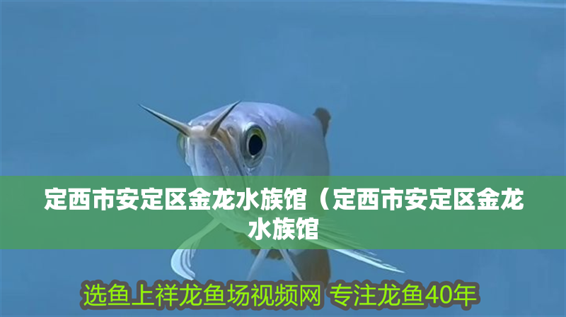 定西市安定區金龍水族館（定西市安定區金龍水族館