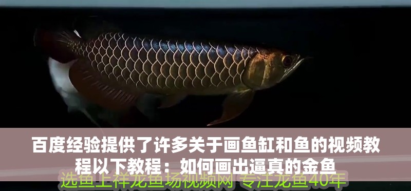 百度經驗提供了許多關于畫魚缸和魚的視頻教程以下教程：如何畫出逼真的金魚 百度經驗提供了許多關于畫魚缸和魚的視頻教程以下教程：如何畫出逼真的金魚 魚缸百科