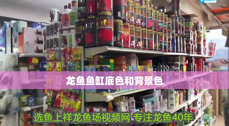 龍魚魚缸底色和背景色