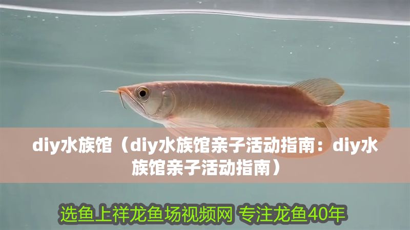 diy水族館（diy水族館親子活動指南：diy水族館親子活動指南）