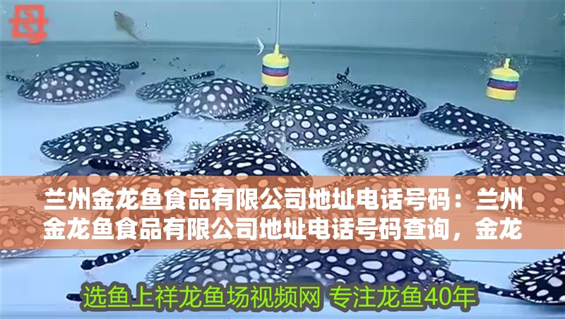 蘭州金龍魚食品有限公司地址電話號碼：蘭州金龍魚食品有限公司地址電話號碼查詢，金龍魚食品有限公司地址及電話號碼查詢
