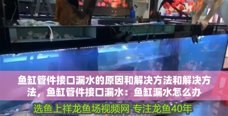 魚缸管件接口漏水的原因和解決方法和解決方法，魚缸管件接口漏水：魚缸漏水怎么辦