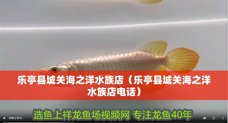 樂亭縣城關海之洋水族店（樂亭縣城關海之洋水族店電話）