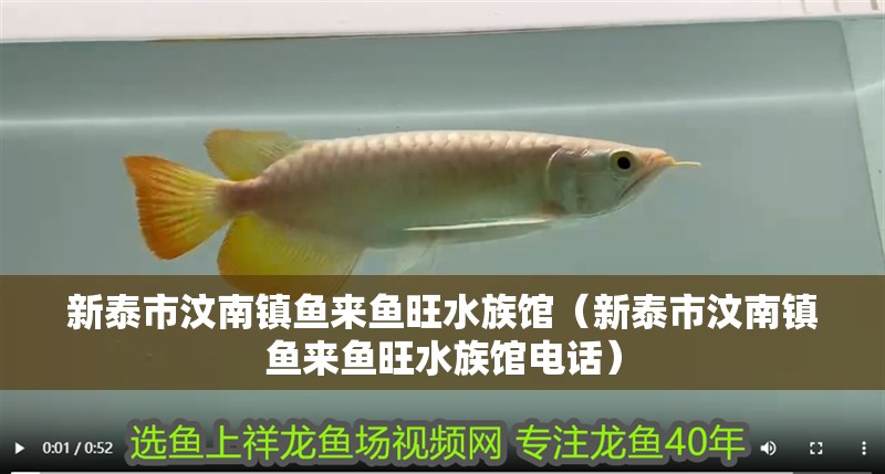 新泰市汶南鎮魚來魚旺水族館（新泰市汶南鎮魚來魚旺水族館電話）