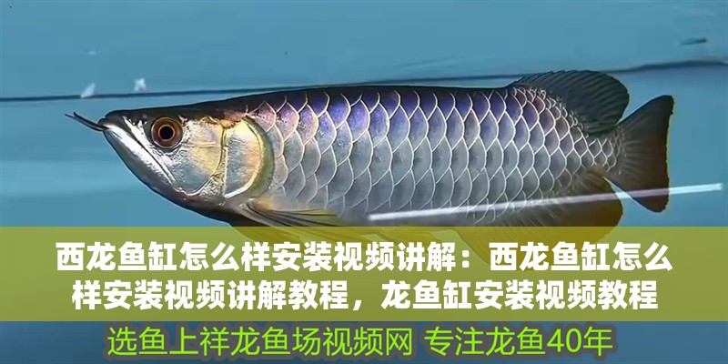 西龍魚缸怎么樣安裝視頻講解：西龍魚缸怎么樣安裝視頻講解教程，龍魚缸安裝視頻教程