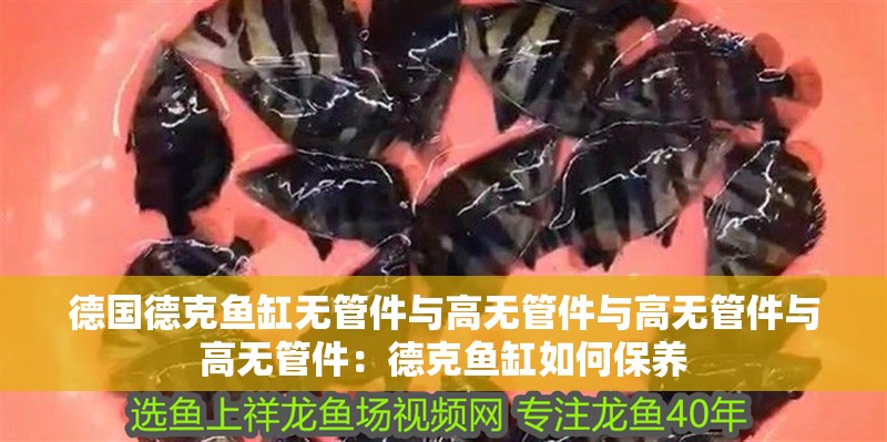 德國德克魚缸無管件與高無管件與高無管件與高無管件：德克魚缸如何保養