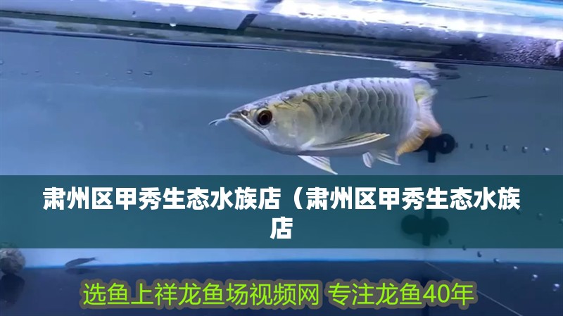 肅州區甲秀生態水族店（肅州區甲秀生態水族店