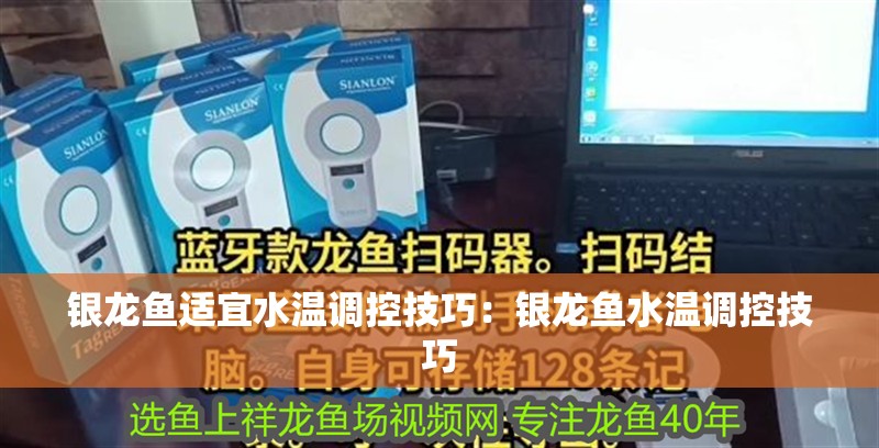 銀龍魚適宜水溫調控技巧：銀龍魚水溫調控技巧