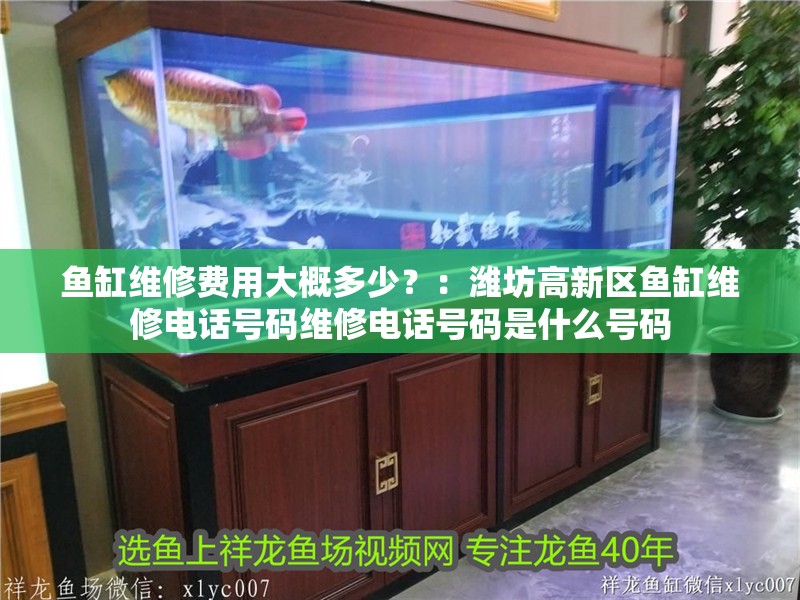 魚缸維修費(fèi)用大概多少？：濰坊高新區(qū)魚缸維修電話號碼維修電話號碼是什么號碼