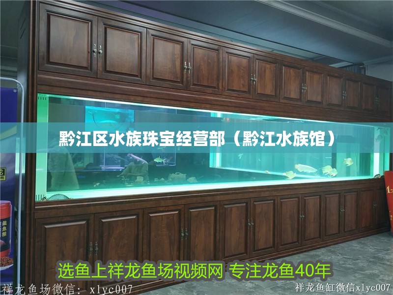 黔江區水族珠寶經營部（黔江水族館）