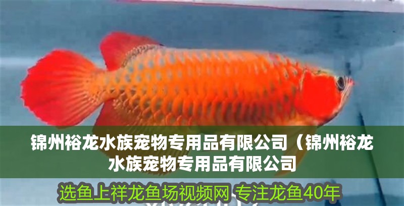 錦州裕龍水族寵物專用品有限公司（錦州裕龍水族寵物專用品有限公司