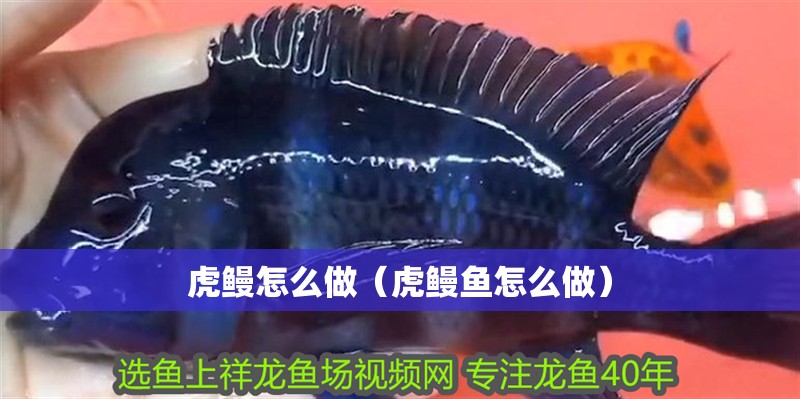 虎鰻怎么做（虎鰻魚(yú)怎么做）