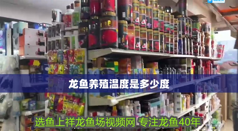 龍魚(yú)養(yǎng)殖溫度是多少度