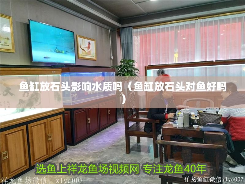 魚缸放石頭影響水質嗎（魚缸放石頭對魚好嗎）