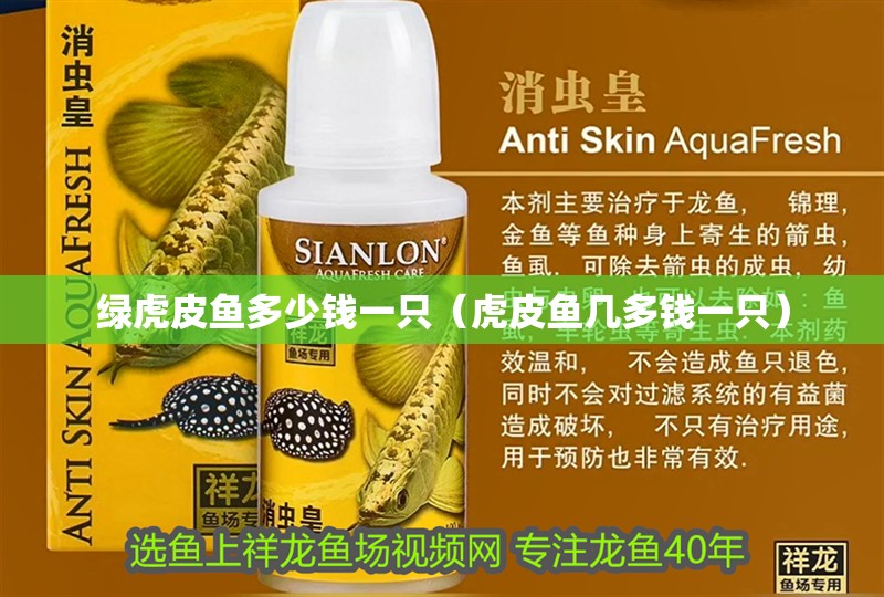 綠虎皮魚多少錢一只（虎皮魚幾多錢一只）