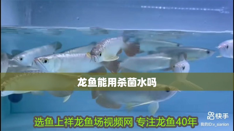 龍魚能用殺菌水嗎