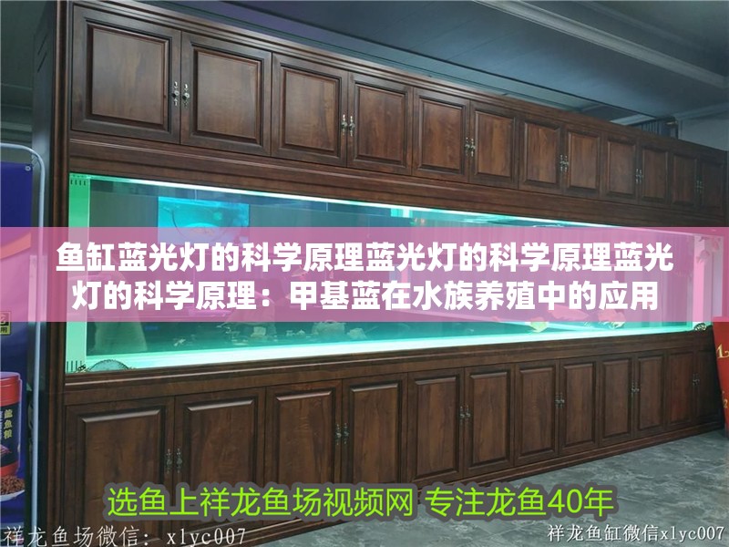 魚缸藍光燈的科學原理藍光燈的科學原理藍光燈的科學原理：甲基藍在水族養殖中的應用