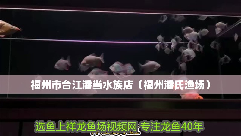 福州市臺江潘當水族店（福州潘氏漁場）
