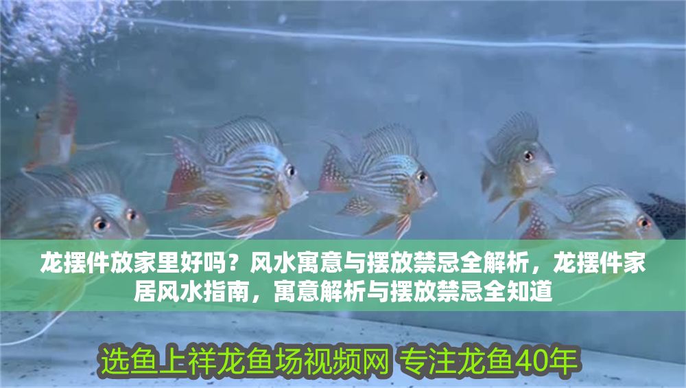 龍擺件放家里好嗎？風水寓意與擺放禁忌全解析，龍擺件家居風水指南，寓意解析與擺放禁忌全知道