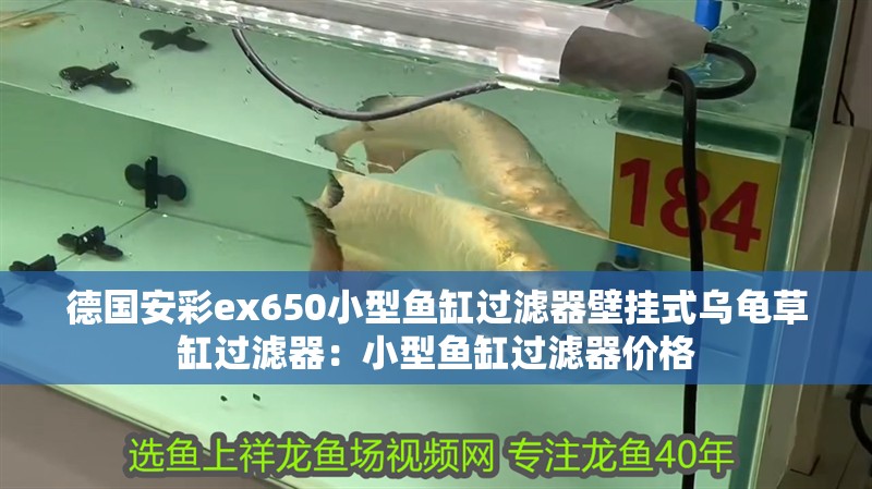 德國安彩ex650小型魚缸過濾器壁掛式烏龜草缸過濾器：小型魚缸過濾器價格