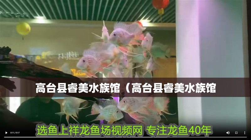 高臺縣睿美水族館（高臺縣睿美水族館