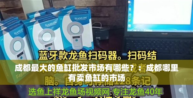 成都最大的魚缸批發(fā)市場有哪些？：成都哪里有賣魚缸的市場