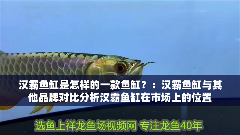 漢霸魚缸是怎樣的一款魚缸？：漢霸魚缸與其他品牌對比分析漢霸魚缸在市場上的位置