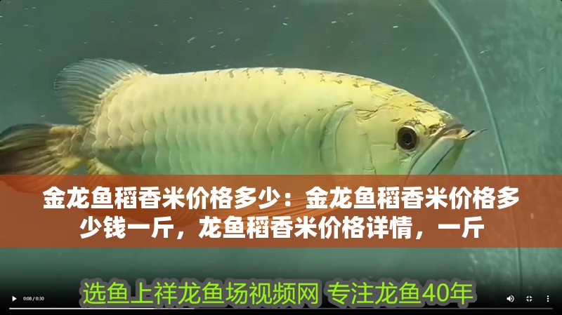 金龍魚稻香米價格多少：金龍魚稻香米價格多少錢一斤，龍魚稻香米價格詳情，一斤