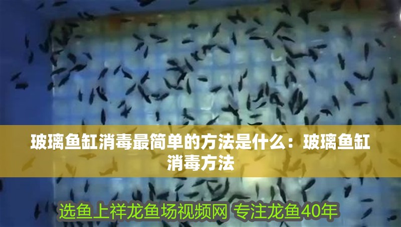 玻璃魚缸消毒最簡單的方法是什么：玻璃魚缸消毒方法