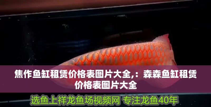 焦作魚缸租賃價格表圖片大全,：森森魚缸租賃價格表圖片大全