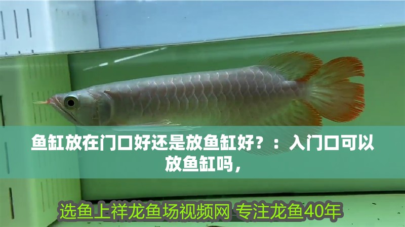 魚缸放在門口好還是放魚缸好？：入門口可以放魚缸嗎，