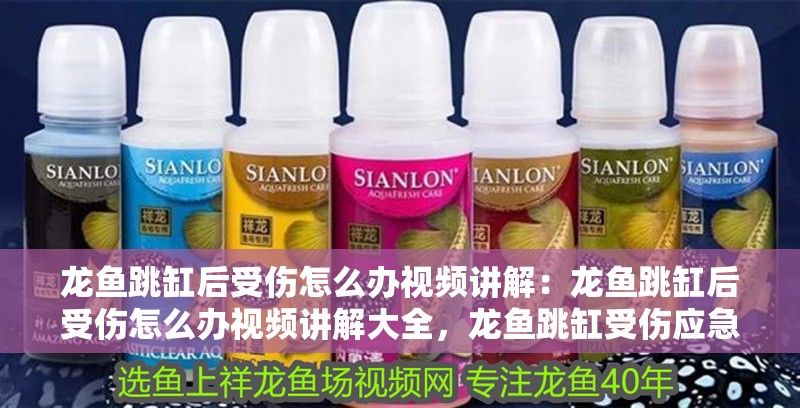 龍魚跳缸后受傷怎么辦視頻講解：龍魚跳缸后受傷怎么辦視頻講解大全，龍魚跳缸受傷應(yīng)急處理全攻略