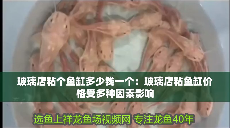 玻璃店粘個魚缸多少錢一個：玻璃店粘魚缸價格受多種因素影響
