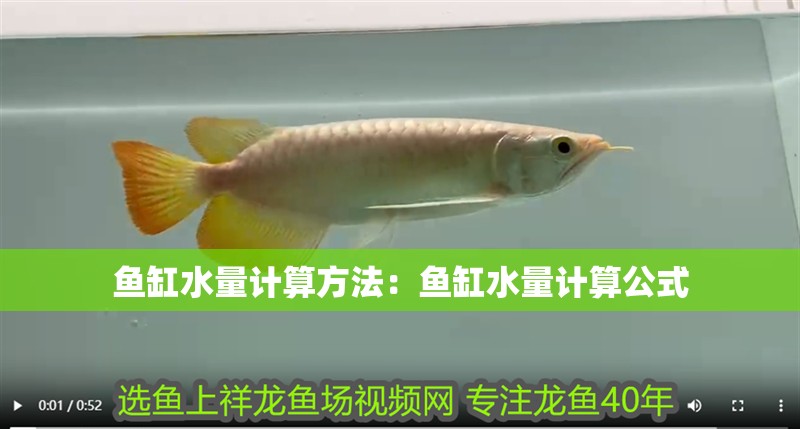 魚缸水量計算方法：魚缸水量計算公式
