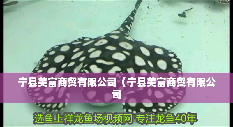 寧縣美富商貿有限公司（寧縣美富商貿有限公司