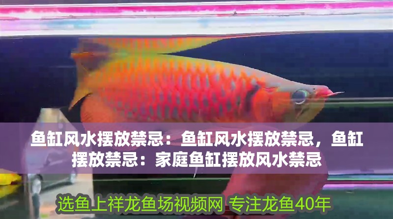 魚缸風水擺放禁忌：魚缸風水擺放禁忌，魚缸擺放禁忌：家庭魚缸擺放風水禁忌