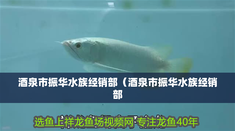 酒泉市振華水族經銷部（酒泉市振華水族經銷部