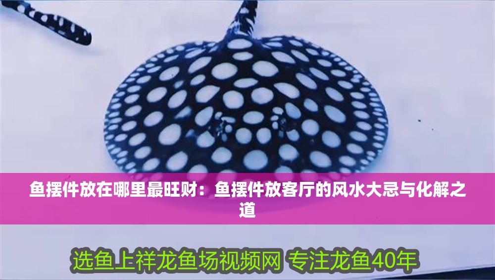 魚擺件放在哪里最旺財：魚擺件放客廳的風水大忌與化解之道