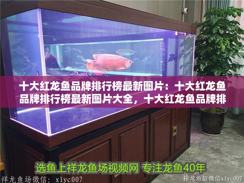 十大紅龍魚(yú)品牌排行榜最新圖片：十大紅龍魚(yú)品牌排行榜最新圖片大全，十大紅龍魚(yú)品牌排行榜最新圖片大全