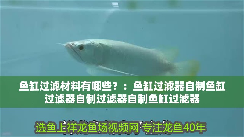 魚缸過濾材料有哪些？：魚缸過濾器自制魚缸過濾器自制過濾器自制魚缸過濾器