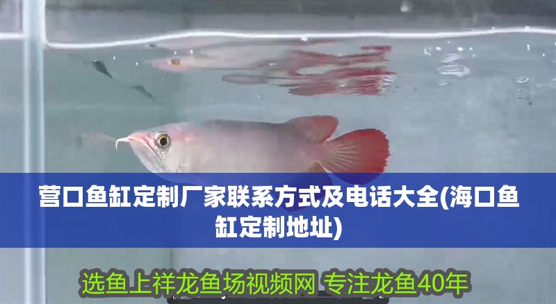 營口魚缸定制廠家聯系方式及電話大全(海口魚缸定制地址)